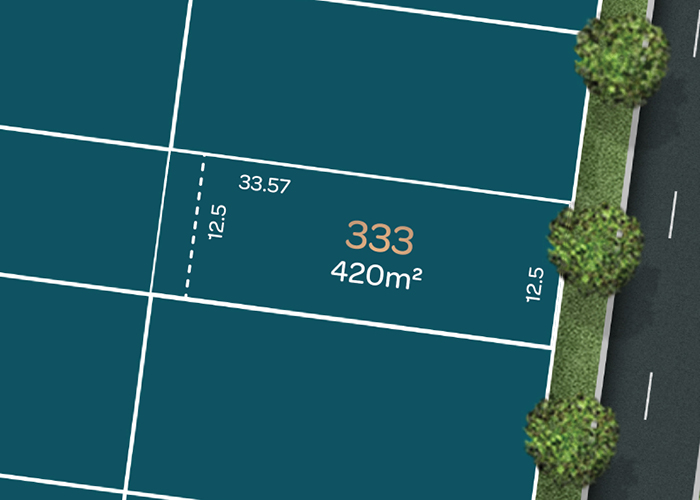 Lot 333